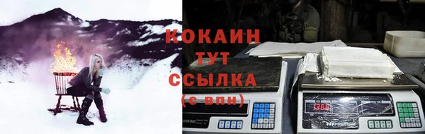 мдпв Горняк