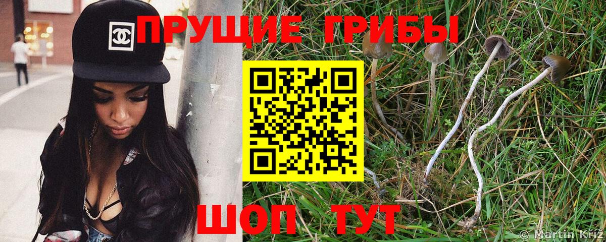 Галлюциногенные грибы GOLDEN TEACHER Москва