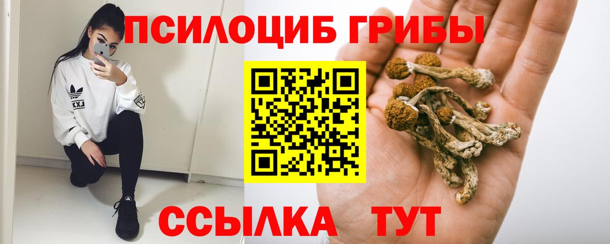 где купить наркоту  Вход с VPN  Псилоцибиновые грибы GOLDEN TEACHER  Москва  Псилоцибиновые грибы MAGIC MUSHROOMS 